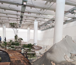 MUCA CU - Museo Universitario de Ciencias y Arte photo