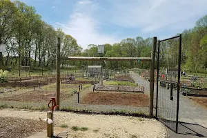 Monroe Township Community Garden image