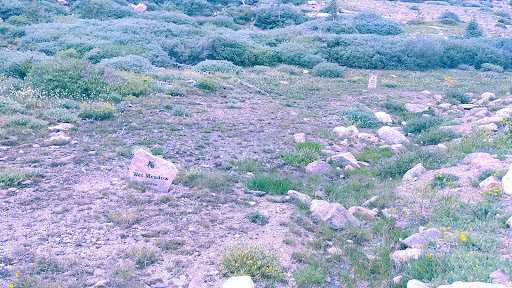 Nature Preserve «Mount Goliath Natural Area», reviews and photos, Mt Evans Rd, Evergreen, CO 80439, USA