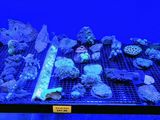 Tropical Fish Store «Reef eScape», reviews and photos, 11141 Lee Hwy, Fairfax, VA 22030, USA