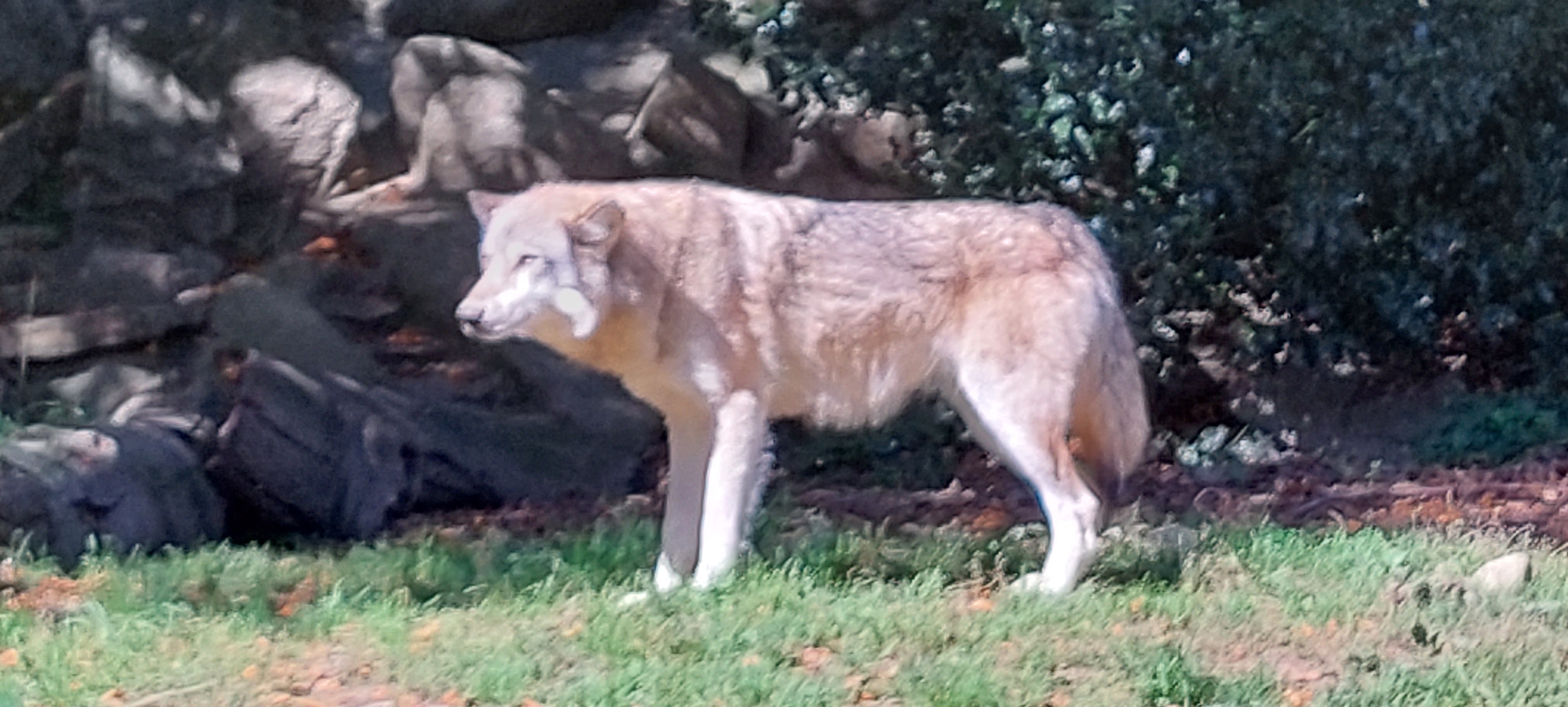 Photo n° 5 de l'avis de nathalie.E fait le 08/10/2023 à 08:49