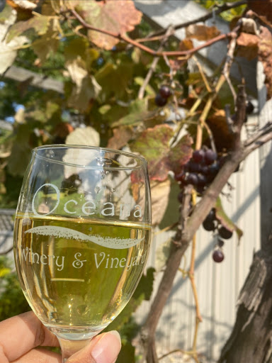 Winery «Oceana Winery & Vineyard», reviews and photos, 4980 S 52nd Ave, New Era, MI 49446, USA