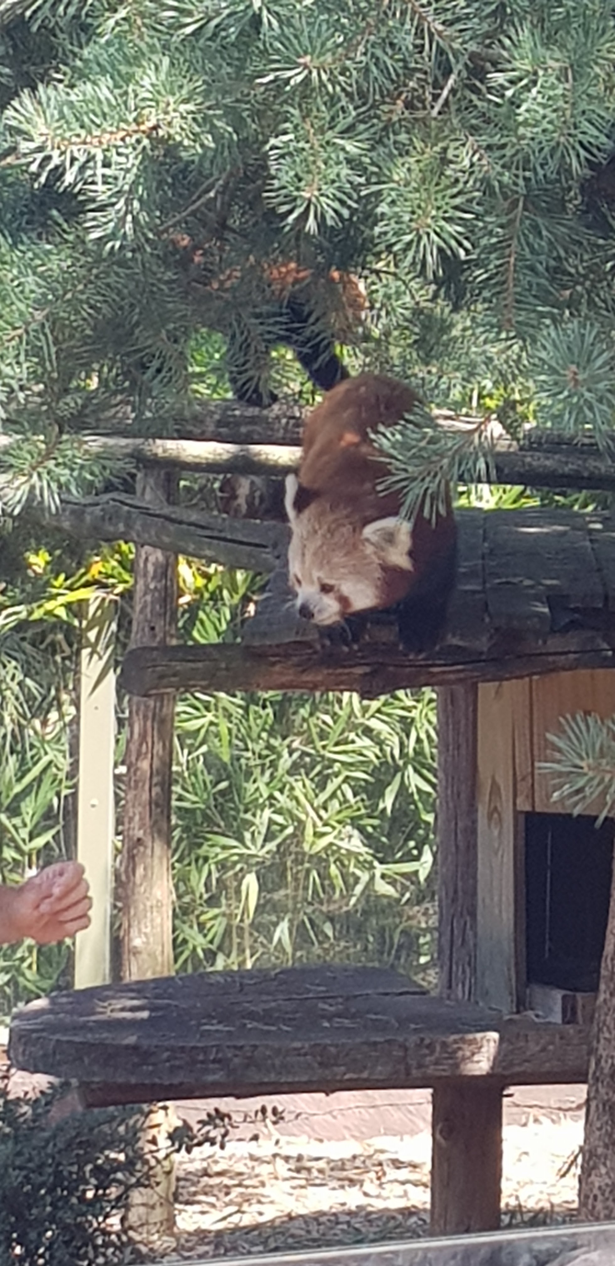 Photo n° 6 de l'avis de Laetitia.u fait le 03/08/2019 à 09:58