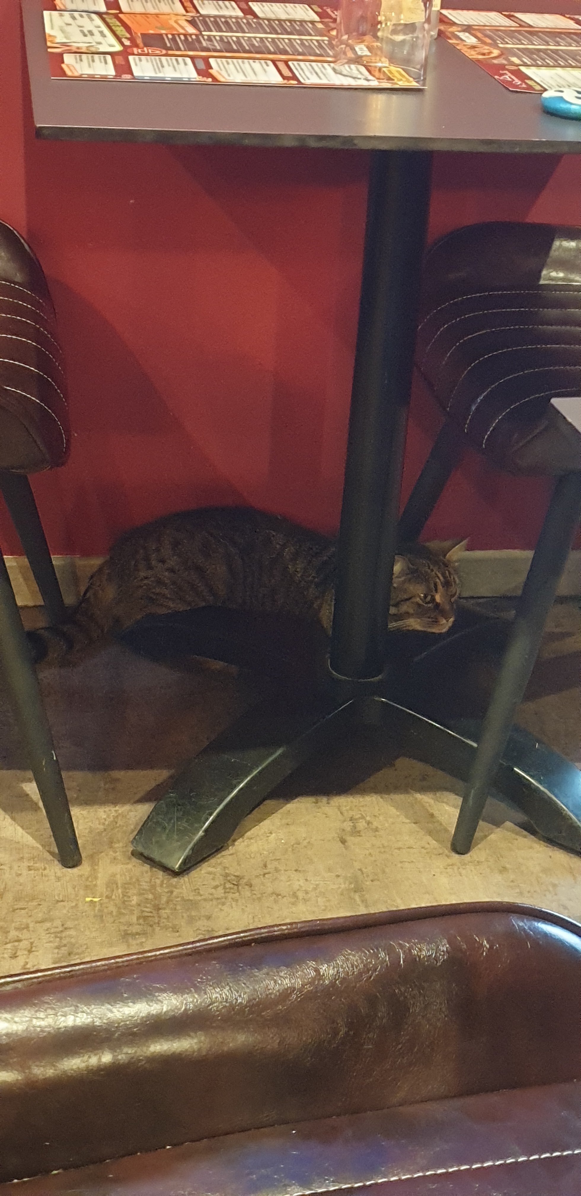 Photo n° 2 de l'avis de VincentEnRoueLibre. fait le 31/08/2023 à 18:43