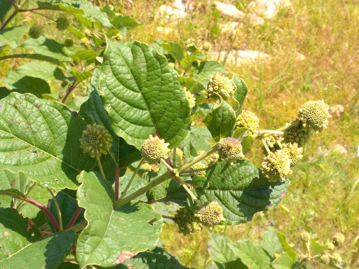 Country Club «Southland Golf Course», reviews and photos, 5726 Southland Dr, Stone Mountain, GA 30087, USA