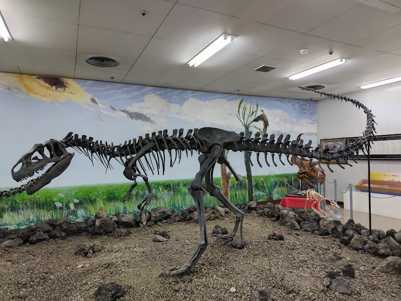 恐竜化石展示室