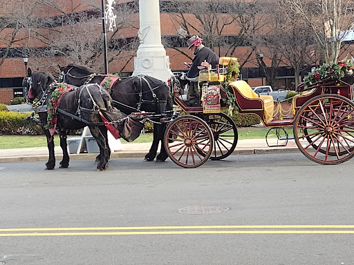 Live Music Venue «State Theatre New Jersey», reviews and photos, 15 Livingston Ave, New Brunswick, NJ 08901, USA