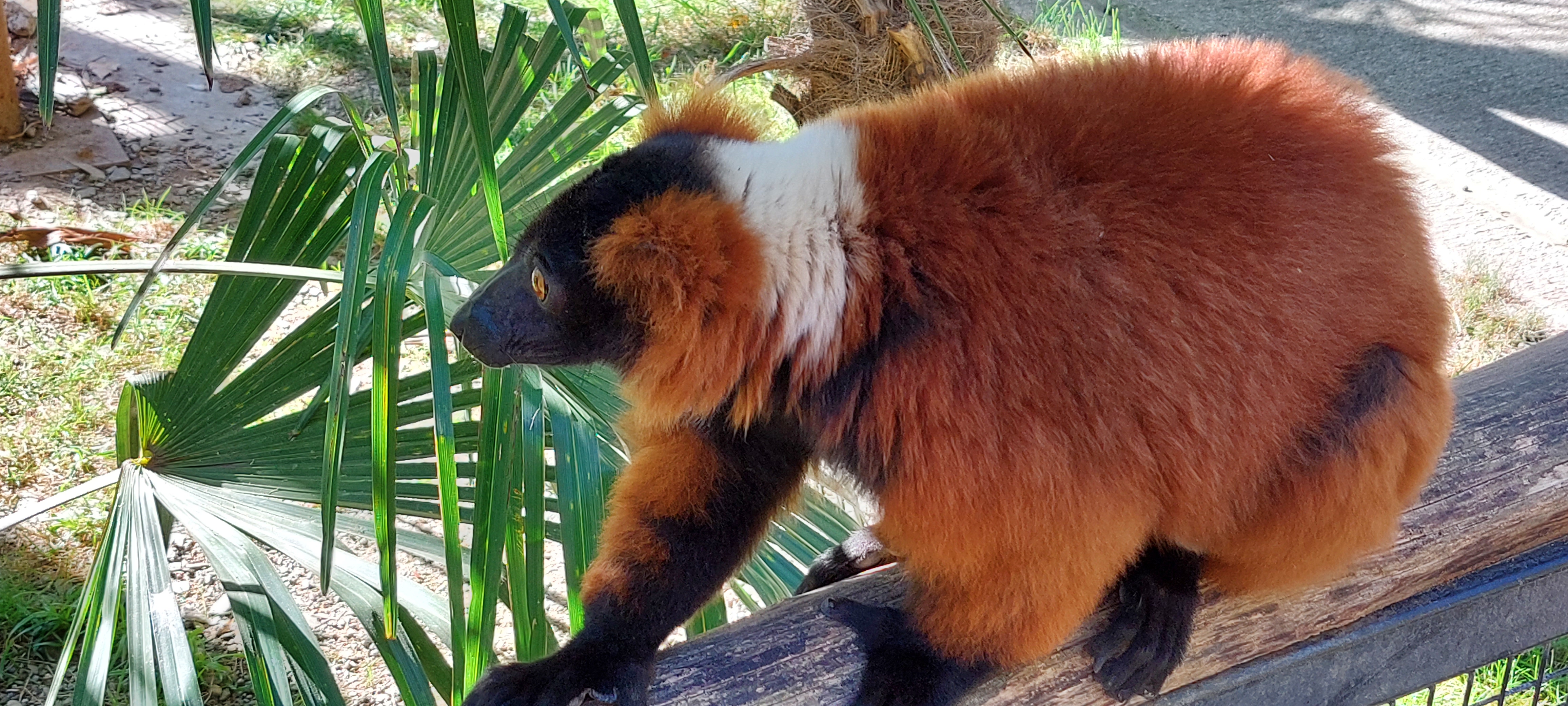 Photo n° 14 de l'avis de nathalie.E fait le 08/10/2023 à 08:49