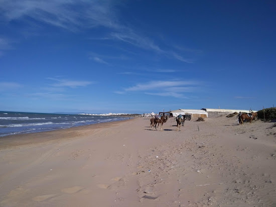 Yoda Plage