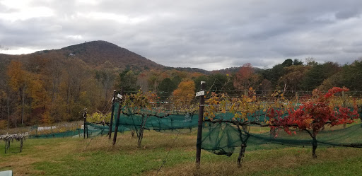 Winery «Sharp Mountain Vineyards», reviews and photos, 110 Rathgeb Trail, Jasper, GA 30143, USA