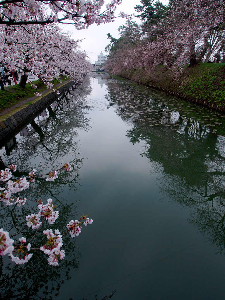 藤崎児童公園