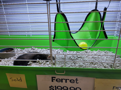 Pet Store «Fish & More Pet Store», reviews and photos, 310 E Main St #8, Sylva, NC 28779, USA