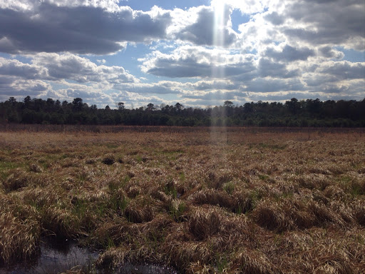 Nature Preserve «Black Run Preserve», reviews and photos, Kettle Run Rd, Evesham Township, NJ 08053, USA