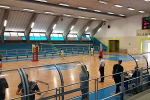Sports Palace "Guido Barbazza" image