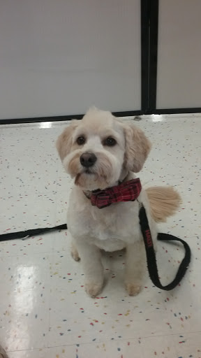 Pet Supply Store «Petco Animal Supplies», reviews and photos, 8164 Mall Pkwy, Lithonia, GA 30038, USA