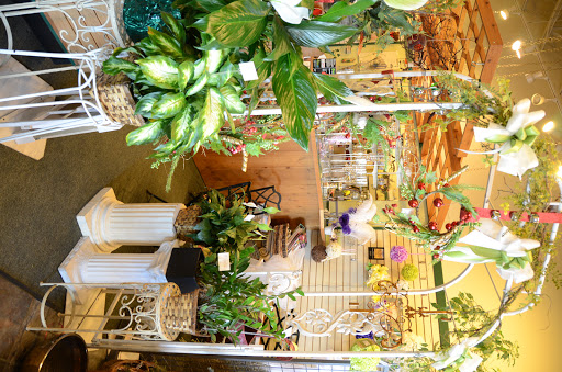 Florist «Celidan Creations, Inc.», reviews and photos, 152 W Gartner Rd #112, Naperville, IL 60540, USA