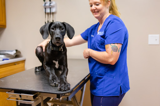 Blue River Veterinary Clinic, PA