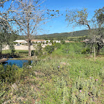 Photo n°3 de l'avis de Dany.o fait le 11/04/2024 à 14:41 sur le  QUINTA DO FREIXO à Benafim