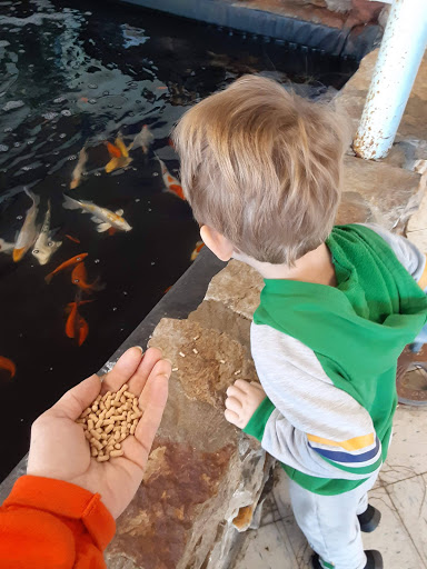 Pet Store «Fish Bowl», reviews and photos, 2117 E Race Ave, Searcy, AR 72143, USA