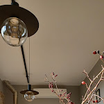 Photo n°3 de l'avis de Franco.e fait le 14/04/2024 à 16:06 sur le  La Radice Agritur - Orto Giardino con Camere e Ristoro à Castell'Arquato