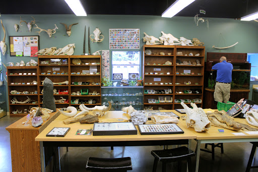 Zoo «Houston Zoo», reviews and photos, 6200 Hermann Park Dr, Houston, TX 77030, USA