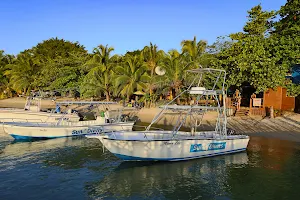 Sun Divers Roatan image