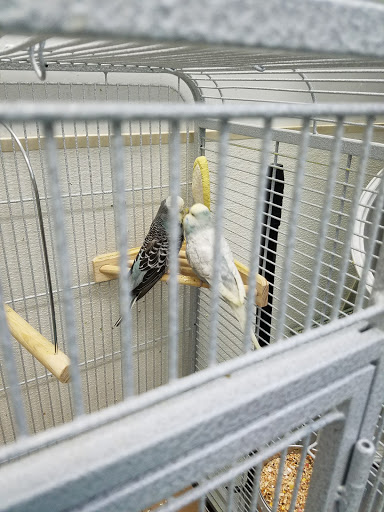 Pet Supply Store «Pet Club Elk Grove», reviews and photos, 8515 Bond Rd, Elk Grove, CA 95624, USA