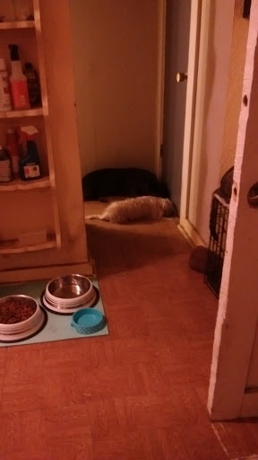 Beer Store «Holiday Wine & Liquor», reviews and photos, 809 S Commerce St, Harlingen, TX 78550, USA