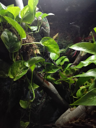 Shopping Mall «Galvez Shopping Center», reviews and photos, 6228 Broadway St, Galveston, TX 77551, USA