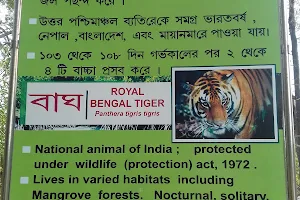 ঝড়খালি ব্যাঘ্র উদ্ধার কেন্দ্র Jharkhali Tiger Rescue Centre image