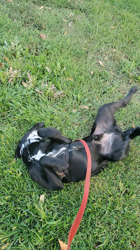 Park «Deming Heights Park», reviews and photos, 1115 St Anthony Pkwy, Minneapolis, MN 55418, USA