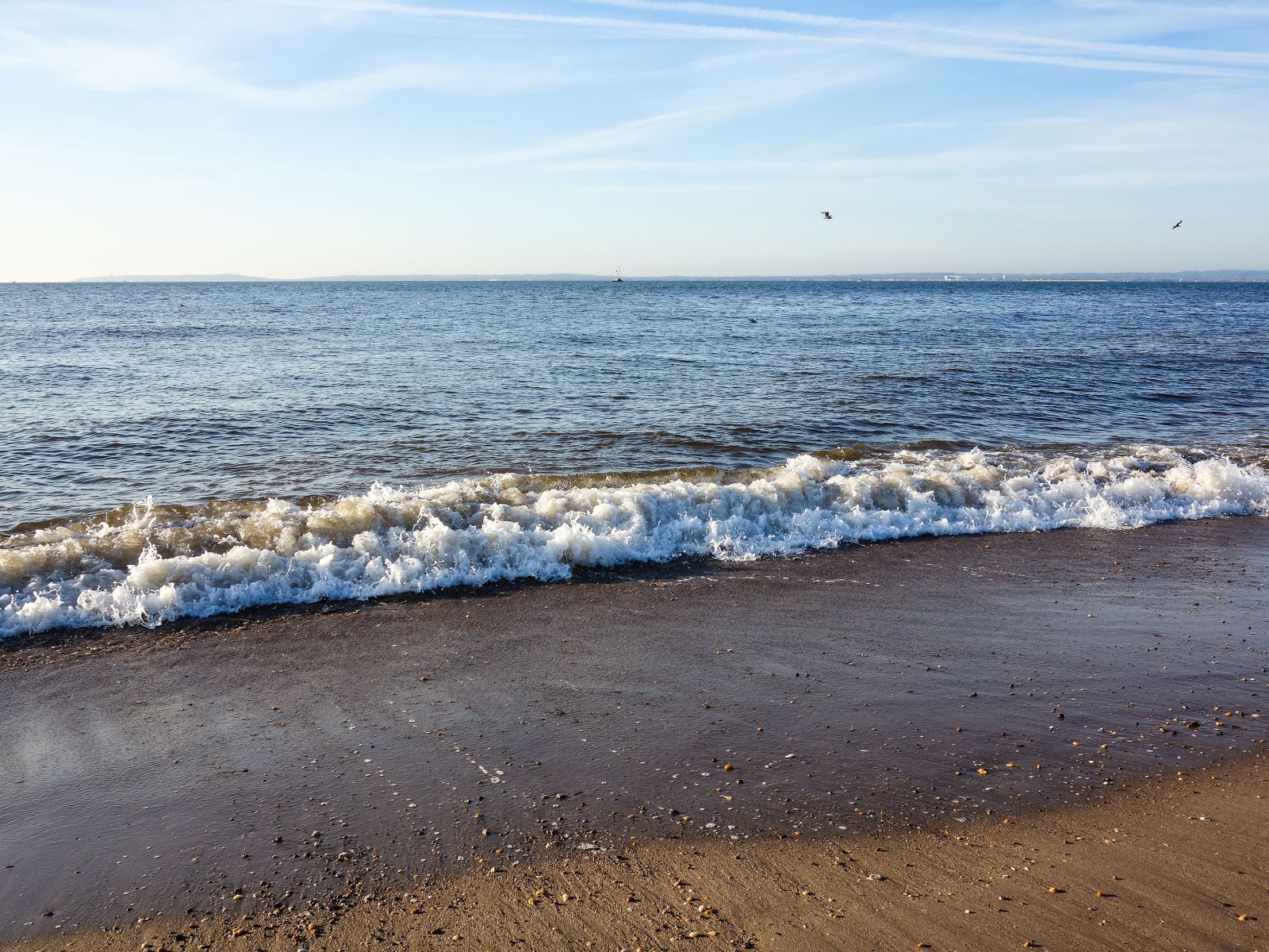 Foto de Great Kills Beach - lugar popular entre los conocedores del relax