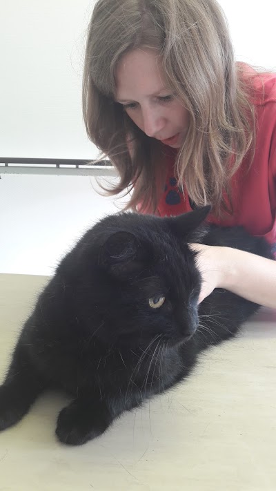 veterinary-care