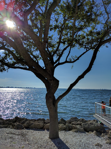 Performing Arts Theater «Van Wezel Performing Arts Hall», reviews and photos, 777 N Tamiami Trail, Sarasota, FL 34236, USA