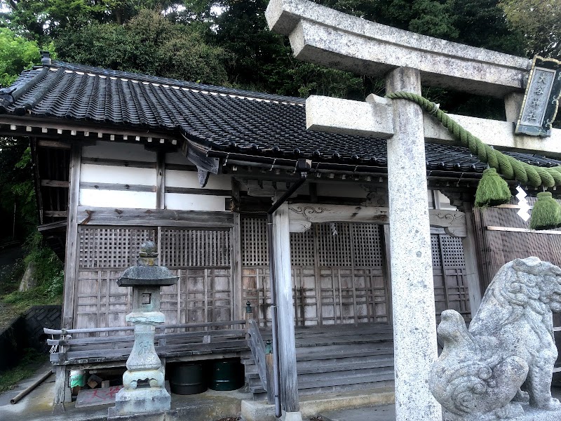 大谷神社の大タブノキ