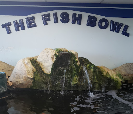 Pet Store «Fish Bowl», reviews and photos, 2117 E Race Ave, Searcy, AR 72143, USA