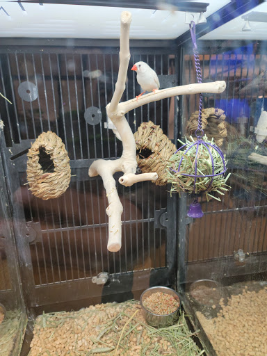 Pet Supply Store «PetSmart», reviews and photos, 132 NJ-31, Flemington, NJ 08822, USA