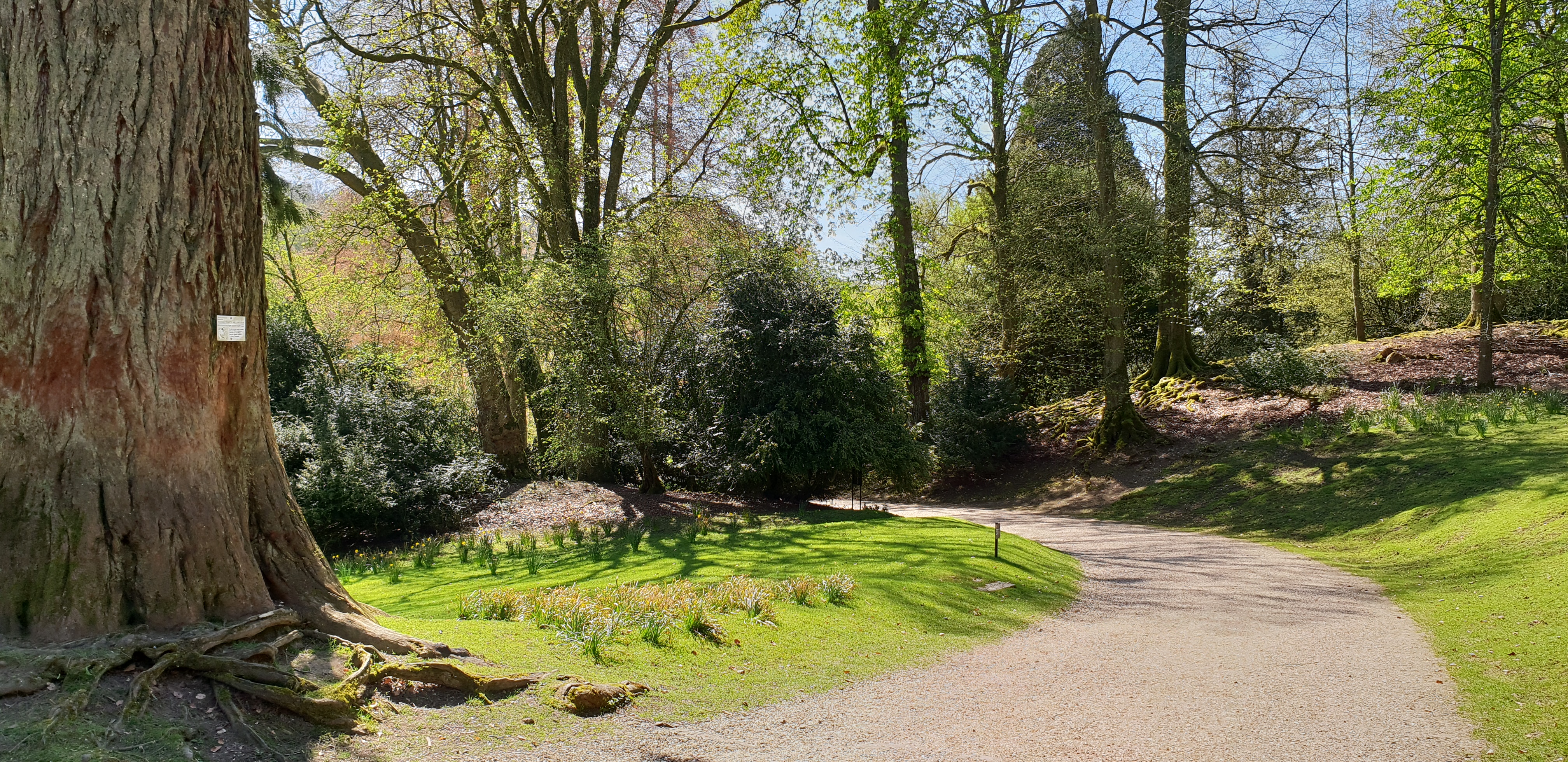 Photo n° 18 de l'avis de Dominique.A fait le 18/04/2018 à 14:35