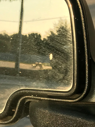 Car Wash «Star Car Wash», reviews and photos, 3111 Old Denton Rd, Carrollton, TX 75007, USA