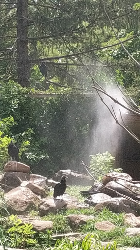 Recreation Center «Go Ape Zip Line & Treetop Adventure - Lums Pond State Park», reviews and photos, 1042 Howell School Rd, Bear, DE 19701, USA