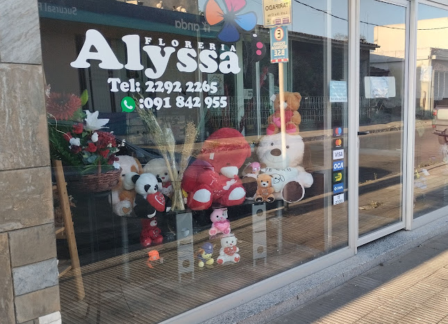Alyssa Flores y Regalos