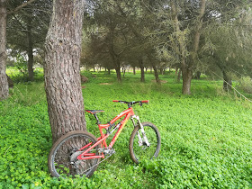 Kintal Bike Park