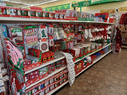 Dollar Store «Dollar Tree», reviews and photos, 2241 Citrus Blvd #107, Leesburg, FL 34748, USA