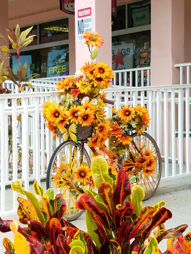 Shopping Mall «Tarpon Mall», reviews and photos, 40952 US-19, Tarpon Springs, FL 34689, USA