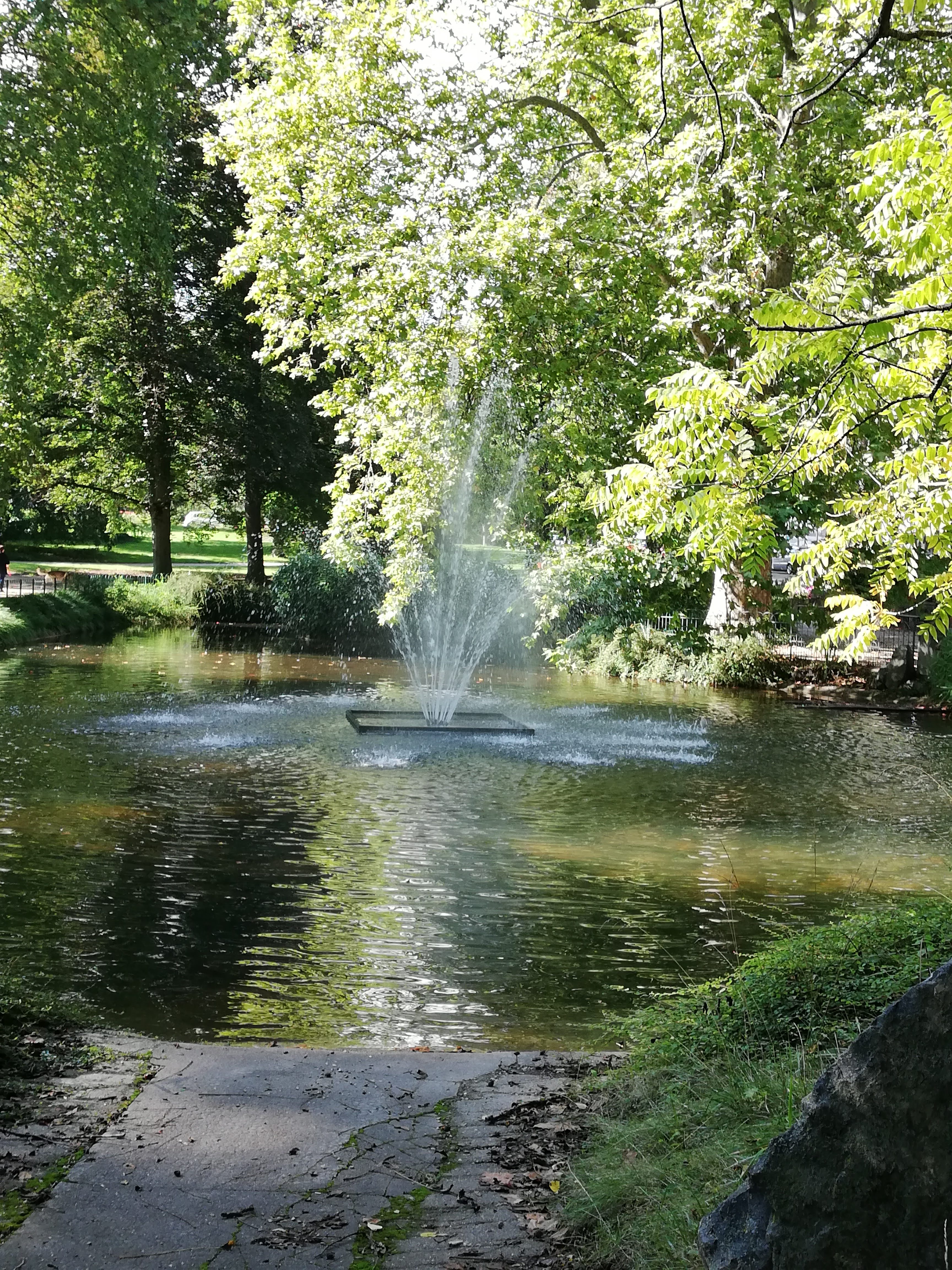 Photo n° 3 de l'avis de F.i fait le 27/07/2022 à 15:32
