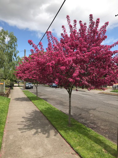 Park «Wallace City Park», reviews and photos, 1600 NW 25th Ave, Portland, OR 97210, USA