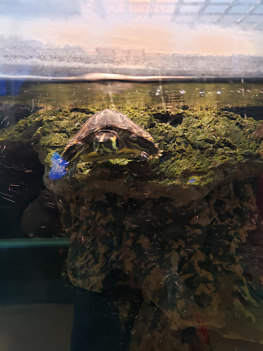 Pet Supply Store «Petco Animal Supplies», reviews and photos, 788 Crossings Rd, Sandusky, OH 44870, USA