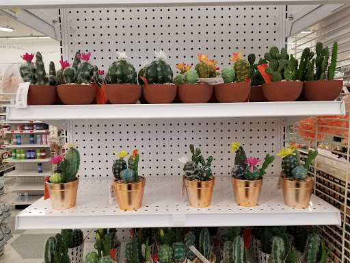 Fabric Store «Jo-Ann Fabrics and Crafts», reviews and photos, 4190 E Court St #101, Burton, MI 48509, USA