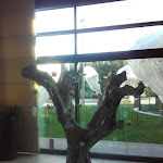 Photo n°6 de l'avis de Adriana.a fait le 10/12/2016 à 12:18 sur le  La Porta Delle Langhe - Location eventi, matrimoni e ristorante per eventi privati e aziendali à Cherasco