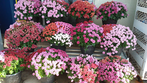 Supermarket «Giant Eagle Supermarket», reviews and photos, 602 E 2nd St, Oil City, PA 16301, USA